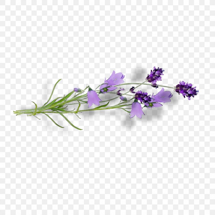 Lavender, PNG, 1280x1280px, Watercolor, Bellflower, Bellflower Family, Flower, Flowering Plant Download Free
