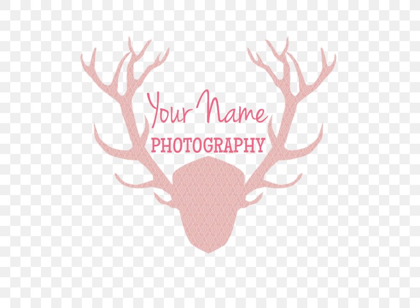 Logo Reindeer Photography Photographer, PNG, 800x600px, Logo, Antler, Deer, Horn, Mammal Download Free