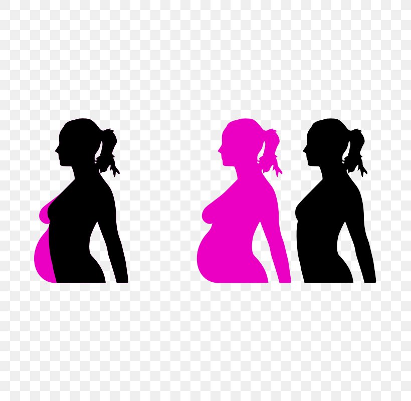 Pregnancy Silhouette Clip Art, PNG, 800x800px, Watercolor, Cartoon, Flower, Frame, Heart Download Free