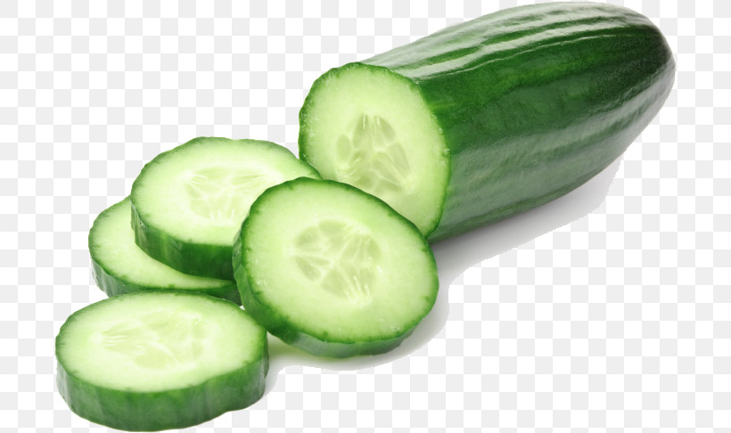 Salad, PNG, 699x486px, Fermented Cucumbers, Brined Pickles, Cantaloupe, Cucumber, Cucumber Juice Download Free