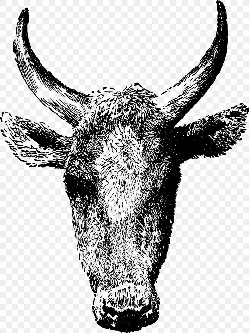 Texas Longhorn Beef Cattle Angus Cattle Clip Art, PNG, 1796x2400px, Texas Longhorn, Angus Cattle, Antler, Beef, Beef Cattle Download Free
