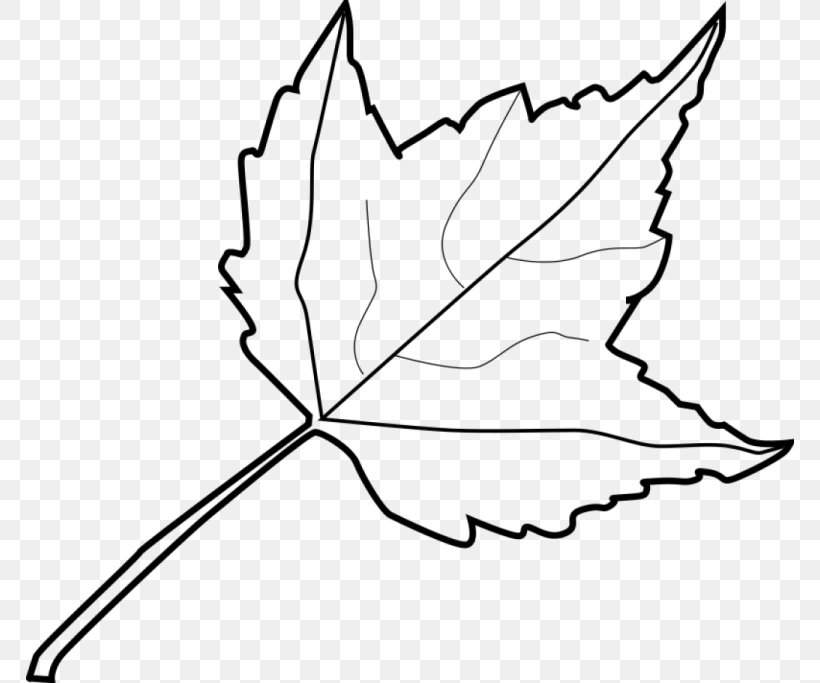 Autumn Leaf Color Outline Clip Art, PNG, 768x683px, Leaf, Area, Artwork, Autumn, Autumn Leaf Color Download Free
