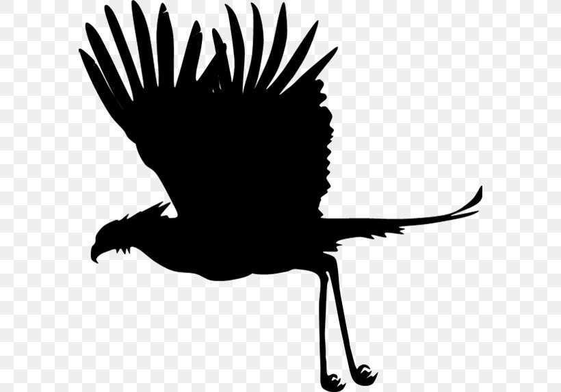 Beak Black Silhouette White Clip Art, PNG, 590x573px, Beak, Artwork, Bird, Black, Black And White Download Free
