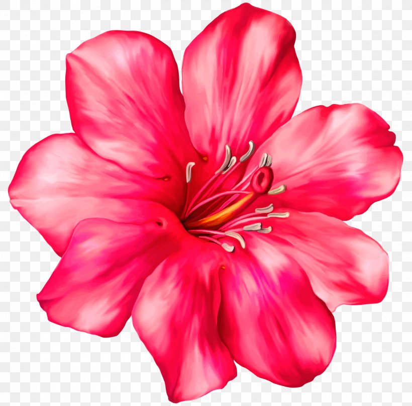 Flower Clip Art, PNG, 1414x1393px, Flower, Annual Plant, Azalea, Blossom, Color Download Free