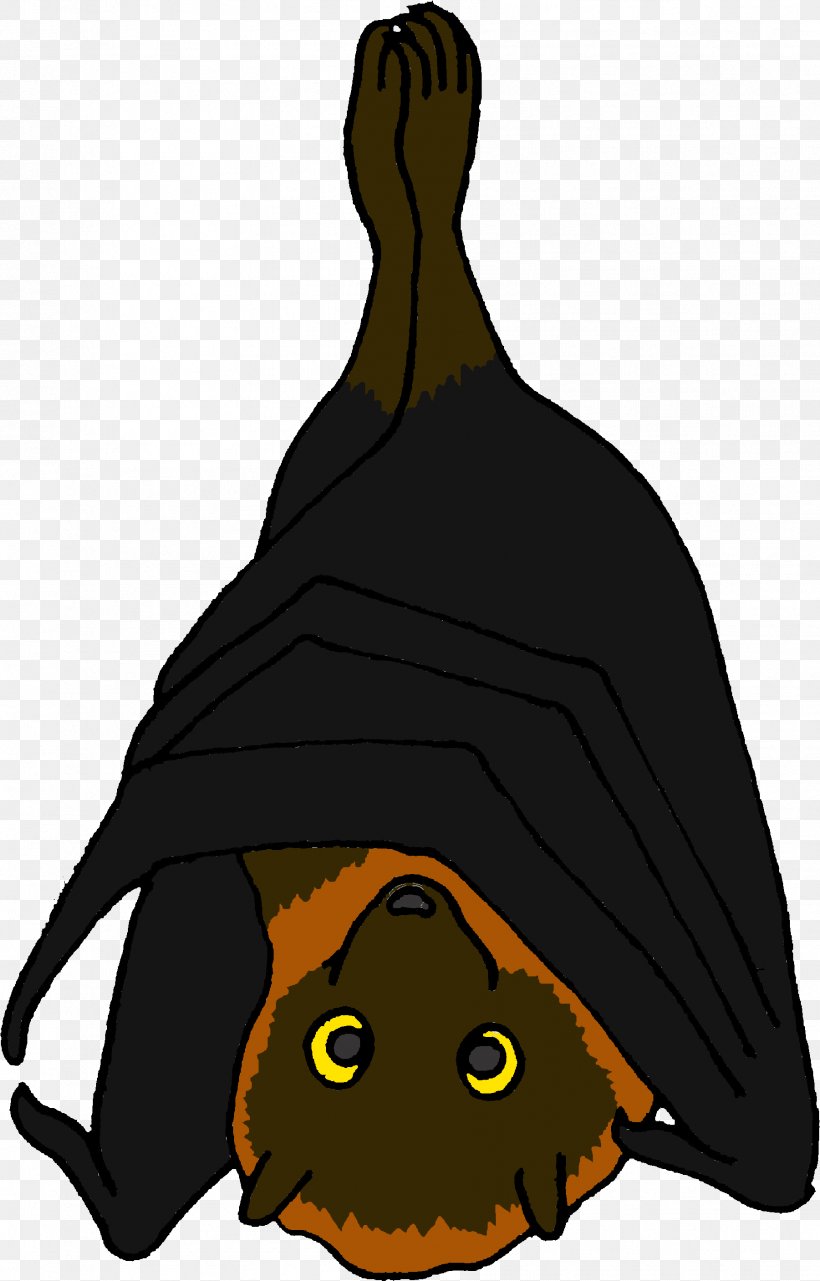 Witch Cartoon, PNG, 1801x2814px, Cat, Bat, Cartoon, Flying Foxes, Large Flying Fox Download Free