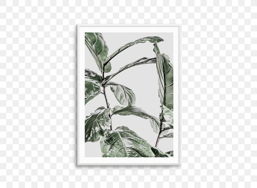 Fiddle-leaf Fig Common Fig Abstract Plakat Naukowy Fine-art Photography, PNG, 476x600px, Fiddleleaf Fig, Abstract, Art, Blog, Branch Download Free