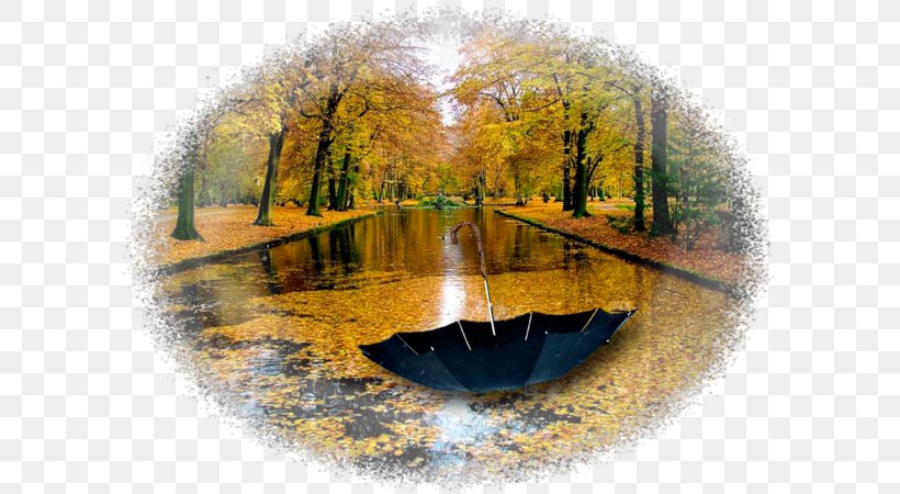 Nature Autumn Rain Yandex Water Resources, PNG, 600x450px, Nature, Autumn, Bank, Canal, Heart Download Free