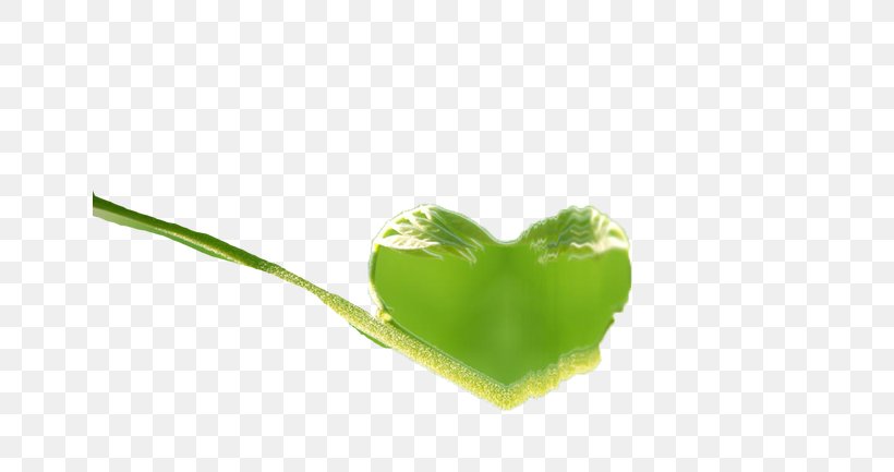 Heart Leaf Computer Wallpaper, PNG, 650x433px, Heart, Computer, Grass, Green, Leaf Download Free