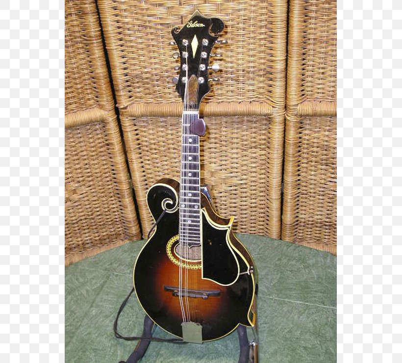 Acoustic-electric Guitar Acoustic Guitar Cavaquinho Banjo Cuatro, PNG, 740x740px, Watercolor, Cartoon, Flower, Frame, Heart Download Free