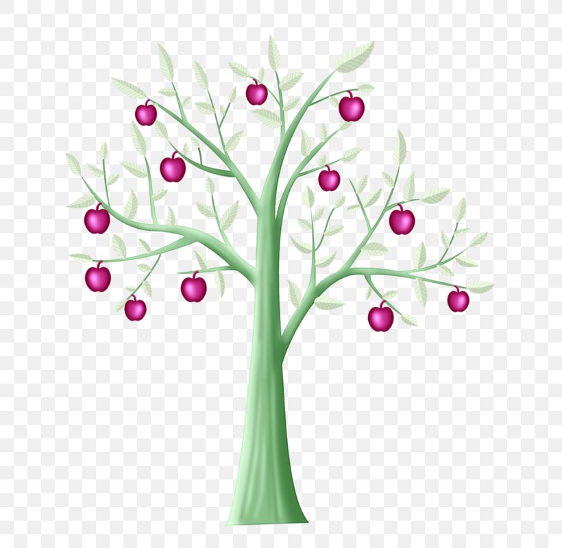 Apple Fruit Tree, PNG, 705x800px, Apple, Animation, Auglis, Branch, Cartoon Download Free