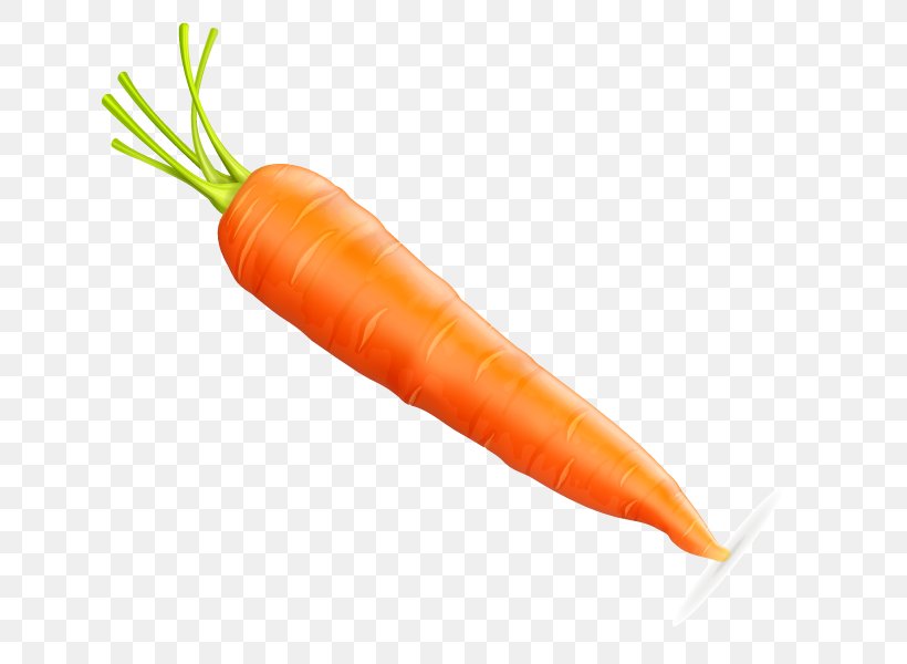 Baby Carrot Vecteur Euclidean Vector, PNG, 800x600px, Baby Carrot, Carrot, Food, Gratis, Orange Download Free