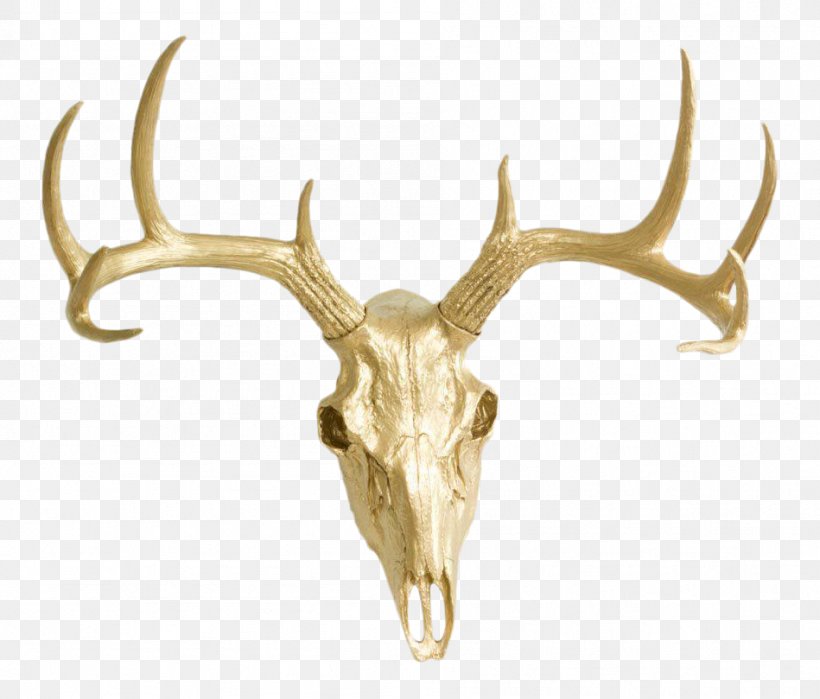 White-tailed Deer Antler Skull Wall, PNG, 949x809px, Deer, Accent Wall, Antler, Bronze, Elk Download Free