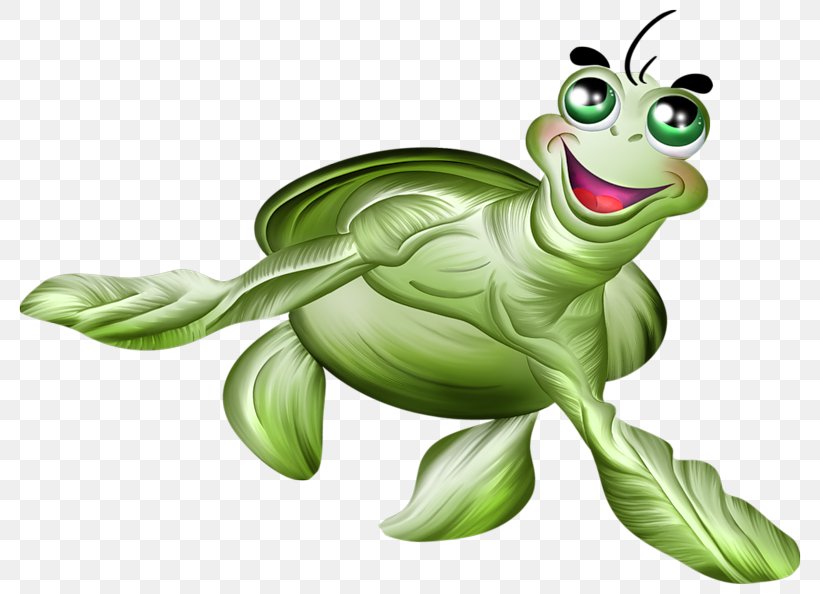 Painted Turtle Drawing Illustration, PNG, 800x594px, Turtle, Amphibian, Art, Cartoon, Drawing Download Free