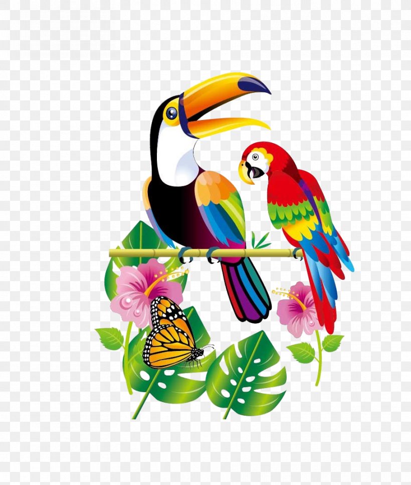 Parrot Bird Toucan, PNG, 909x1071px, Parrot, Art, Beak, Bird, Feather Download Free