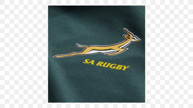South Africa National Rugby Union Team Green Bottle ASICS, PNG, 1008x564px, South Africa, Africa, Asics, Bottle, Brand Download Free