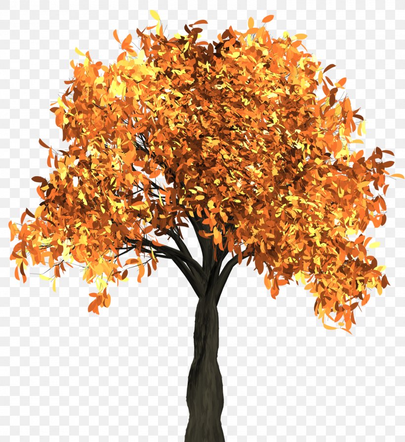 Autumn Leaf Color Tree, PNG, 1500x1635px, Tree, Autumn, Autumn Leaf Color, Branch, Color Download Free