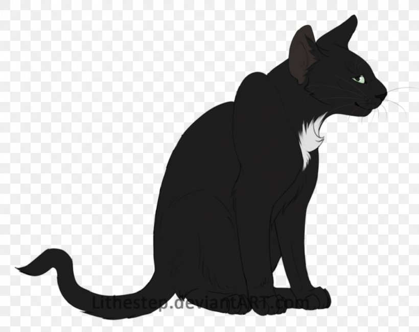 Black Cat Kitten Whiskers Domestic Short-haired Cat, PNG, 1003x797px, Black Cat, Black, Black M, Canidae, Carnivoran Download Free