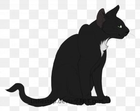 Kitten - Black Cat Kitten Whiskers Domestic Short-haired Cat PNG