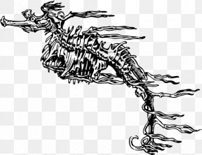 Skeleton Vector - Book Clip Art PNG