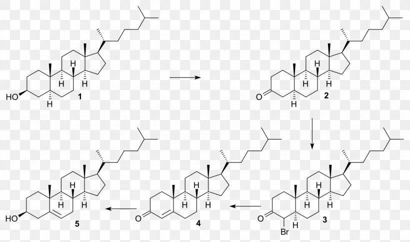 Steroid Sulfatase Estradiol Testosterone, PNG, 1280x757px, Steroid Sulfatase, Androgen, Androstenedione, Area, Black Download Free