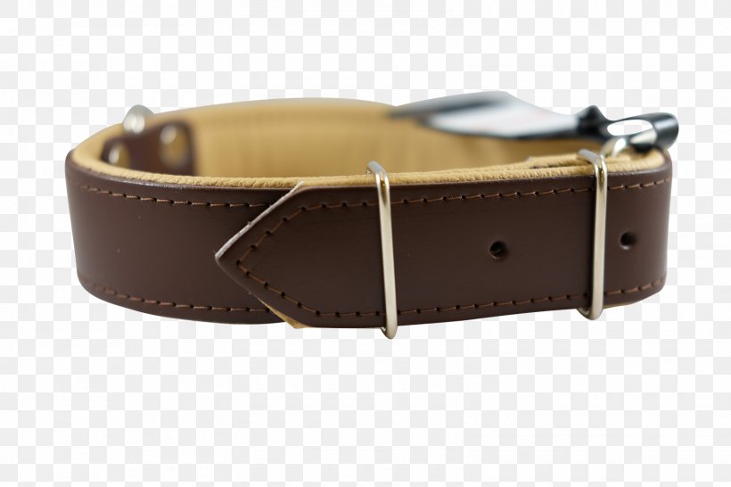 Belt Dog Watch Strap Buckle, PNG, 1600x1067px, Belt, Belt Buckle, Belt Buckles, Brown, Buckle Download Free