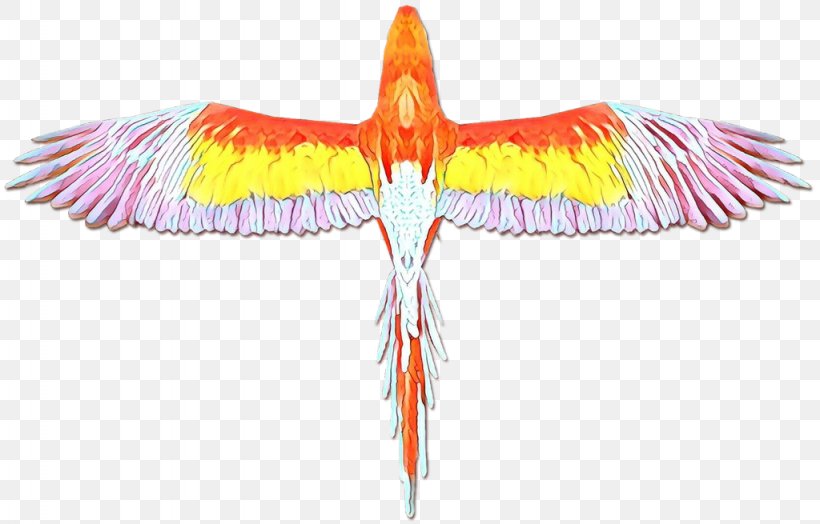Bird Parrot, PNG, 1024x655px, Beak, Bird, Feather, Parrot, Wing Download Free
