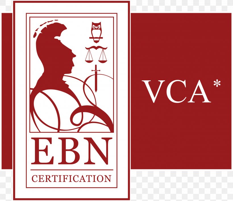 Ebn Certification BV ISO 9001 Sicherheits Certifikat Contraktoren Akademický Certifikát, PNG, 2595x2233px, Certification, Area, Audit, Brand, Iso 9001 Download Free