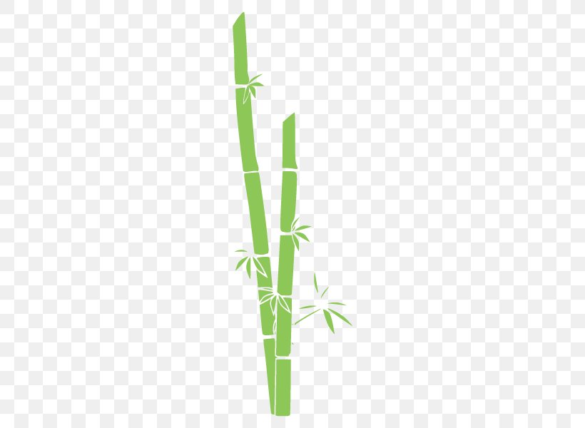 Line Tropical Woody Bamboos Angle Font, PNG, 600x600px, Tropical Woody Bamboos, Bamboo, Grass, Grass Family, Plant Stem Download Free