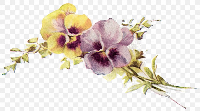 Pansy Clip Art Image Flower Design, PNG, 1126x626px, Pansy, Antique, Cut Flowers, Drawing, Floral Design Download Free