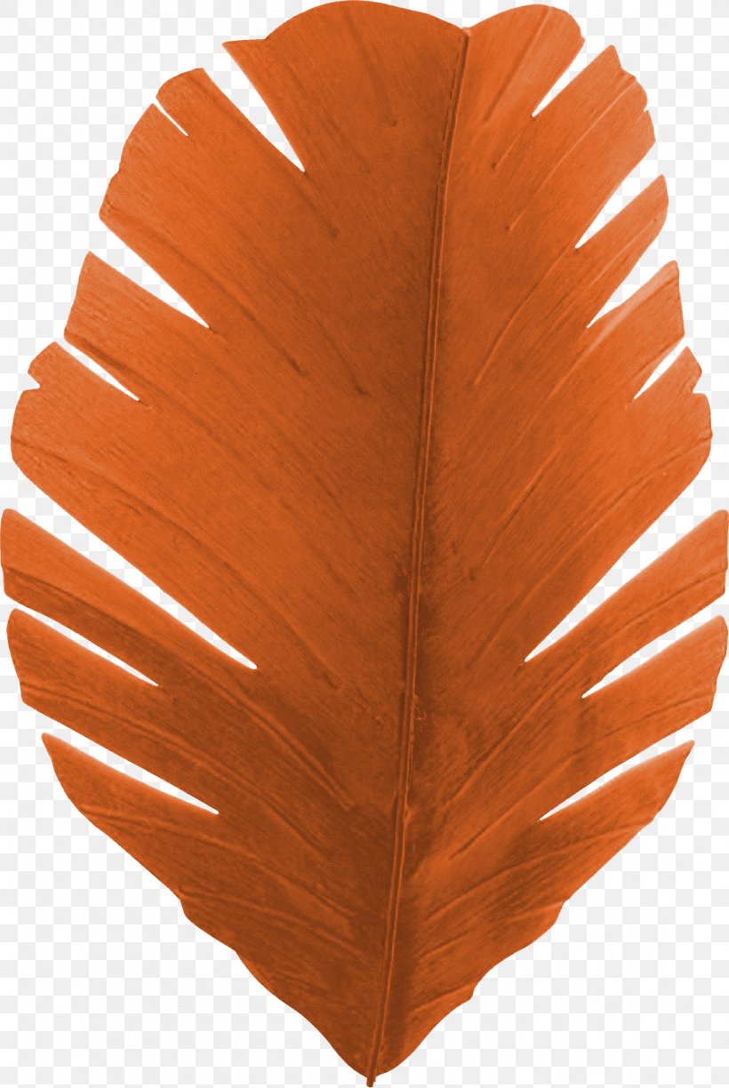 Banana Leaf Light Sconce, PNG, 1110x1657px, Leaf, Banana, Banana Leaf, Chandelier, Drawing Download Free