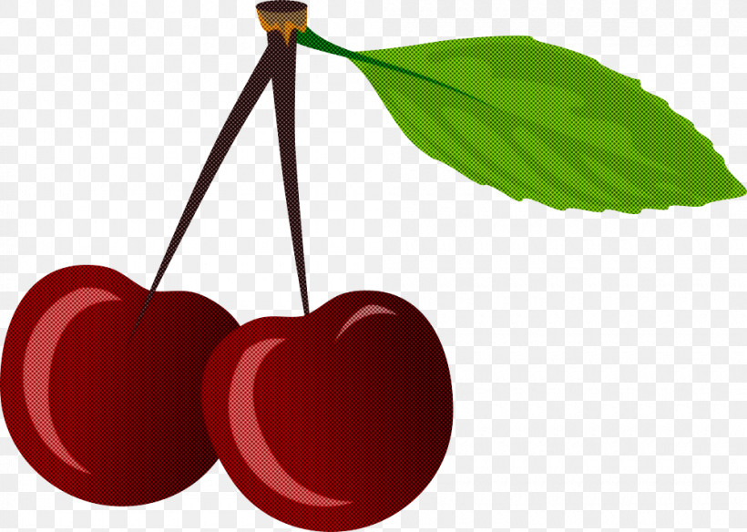 Cherry Leaf Red Plant Tree, PNG, 1000x713px, Cherry, Drupe, Fruit, Leaf, Plant Download Free