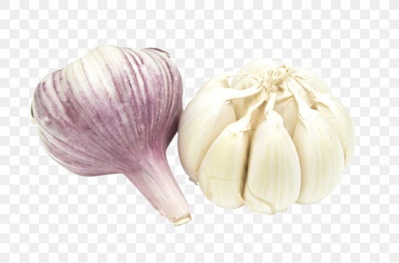 Elephant Garlic Featurepics Stock Photography Vegetable, PNG, 1200x792px, Garlic, Banana, Elephant Garlic, Featurepics, Food Download Free