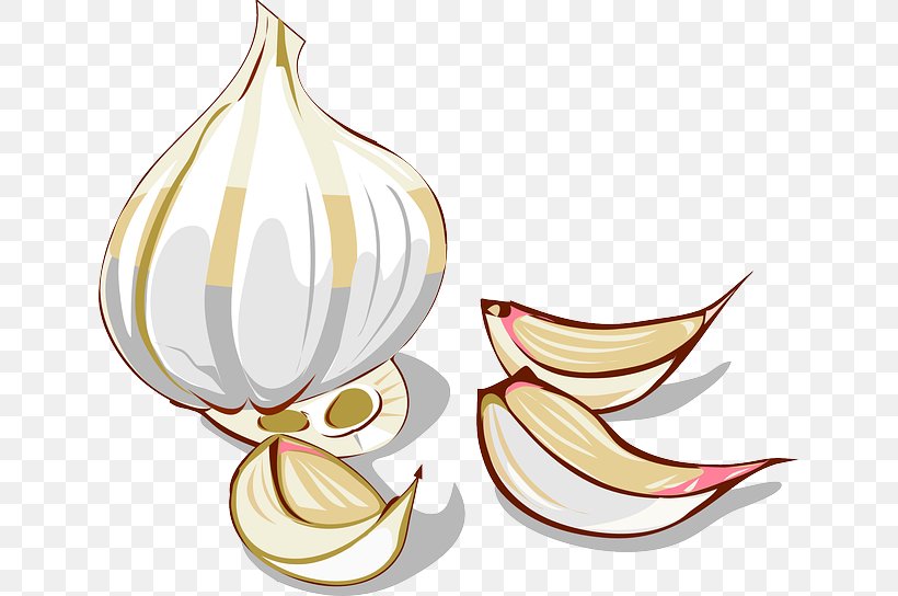 Garlic Onion Vegetable Clip Art, PNG, 640x544px, Garlic, Flower, Food, Line Art, Onion Download Free