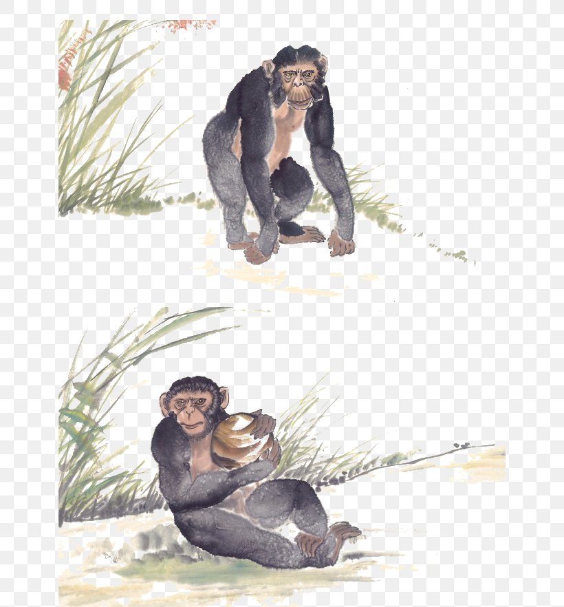 Gorilla Common Chimpanzee Orangutan, PNG, 650x882px, Gorilla, Cartoon, Comics, Common Chimpanzee, Human Behavior Download Free