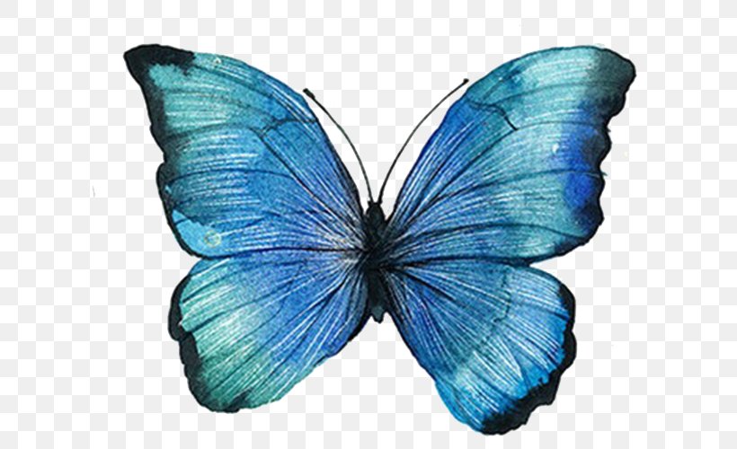 Graphic Design, PNG, 652x500px, Blue, Arthropod, Brush Footed Butterfly, Butterfly, Cartoon Download Free