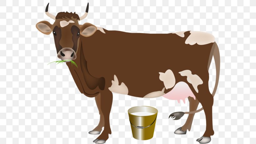 Holstein Friesian Cattle Calf Milk Dairy Cattle Farm, PNG, 600x460px, Holstein Friesian Cattle, Agriculture, Bull, Calf, Cattle Download Free