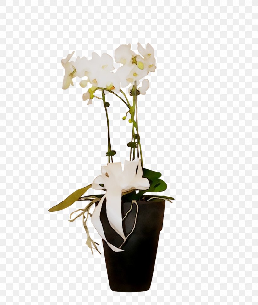 Moth Orchids Floral Design Vase Cut Flowers, PNG, 989x1169px, Moth Orchids, Anthurium, Artificial Flower, Cattleya, Cut Flowers Download Free