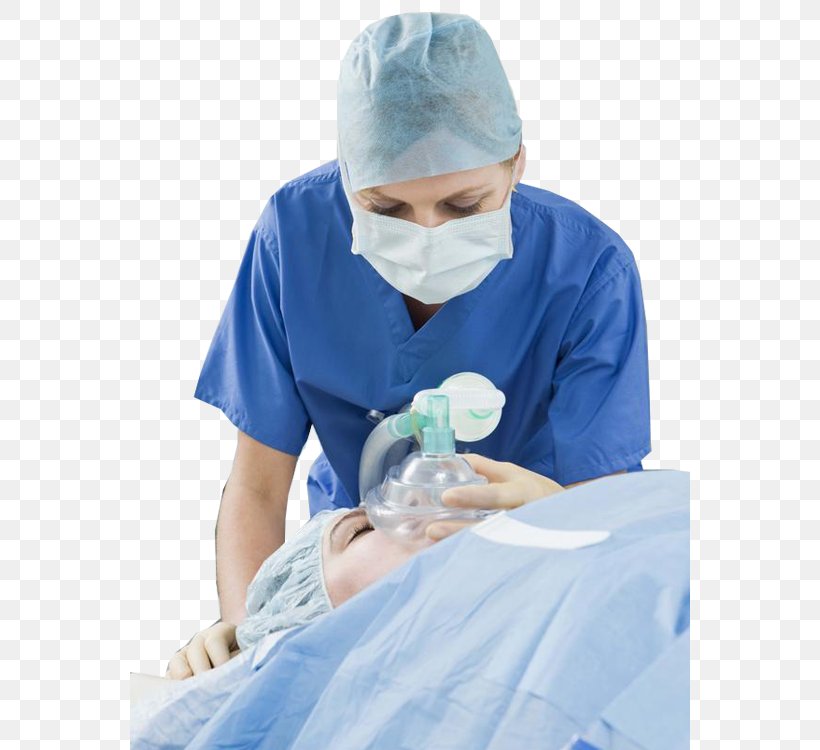 Nurse Anaesthetist Nursing Care Anesthesia Registered Nurse Medicine, PNG, 560x750px, Nurse Anaesthetist, Anaesthesiologist, Anesthesia, Clinical Nurse Specialist, Doctor Of Nursing Practice Download Free