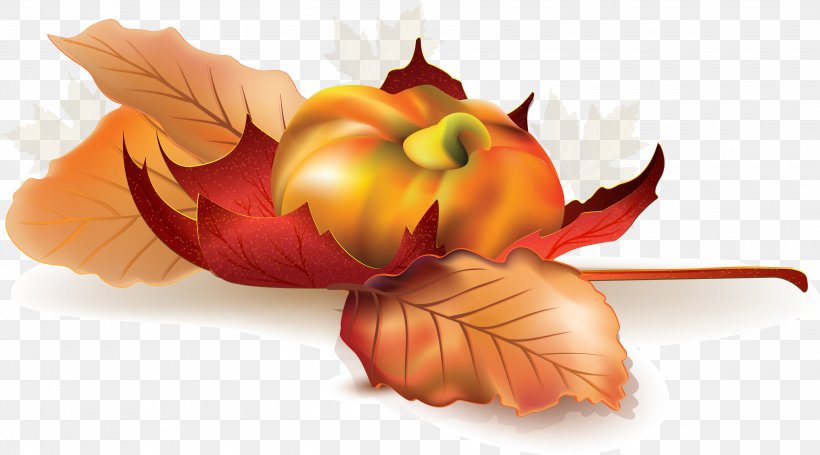 Autumn Advertising Design Image Vector Graphics, PNG, 3000x1665px, Autumn, Advertising, Art, Flower, Food Download Free