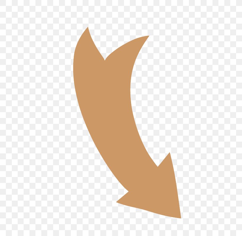 Down Curved Arrow Shapes., PNG, 600x800px, Wing, Tail Download Free