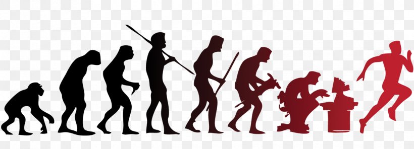 Human Evolution Evolutionary Psychology Ape, PNG, 1135x411px, Evolution, Ape, Brand, Charles Darwin, Computer Download Free