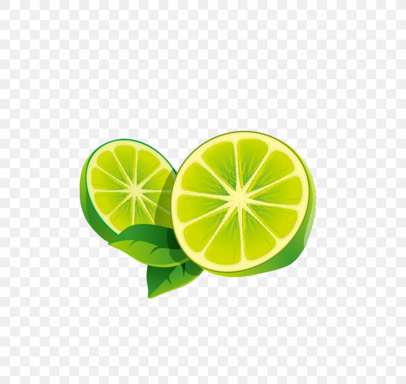 Lime Lemon Icon, PNG, 902x854px, Lime, Citric Acid, Citrus, Food, Fruit Download Free