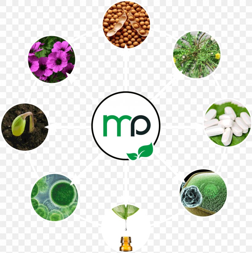 Micropep Technologies Application Domain TWB Toulouse White Biotechnology Bioproduction, PNG, 1020x1026px, Application Domain, Bioproduction, Biostimulant, Biotechnology, Body Jewellery Download Free
