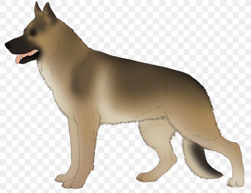Dog Breed Canaan Dog Korean Jindo Saarloos Wolfdog German Shepherd, PNG, 2450x1889px, Dog Breed, Ancient Dog Breeds, Breed, Canaan Dog, Carnivoran Download Free