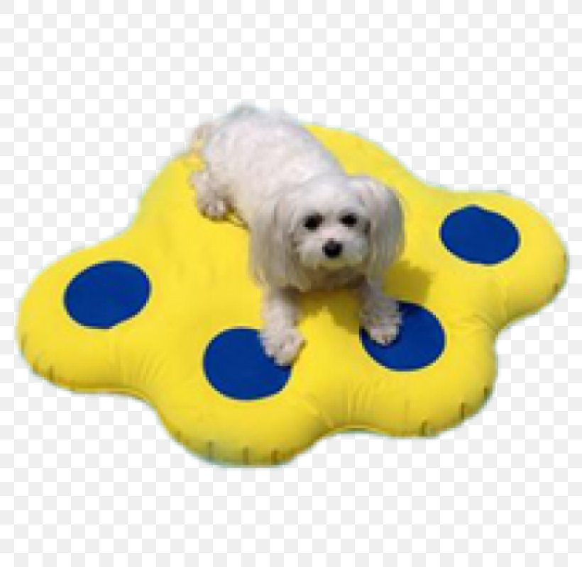 Dog Raft Paw Cat Pet, PNG, 800x800px, Dog, Bichon, Boat, Carnivoran, Cat Download Free