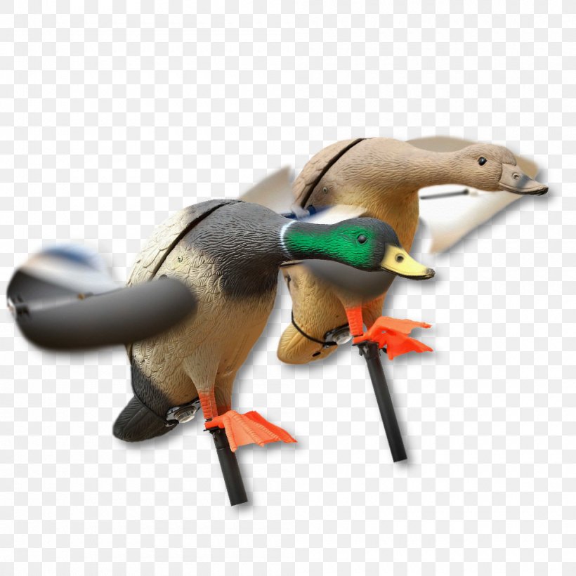 Duck Decoy Mallard Hunting, PNG, 1000x1000px, Duck, Action Figure, Animal Figure, Animation, Bird Download Free