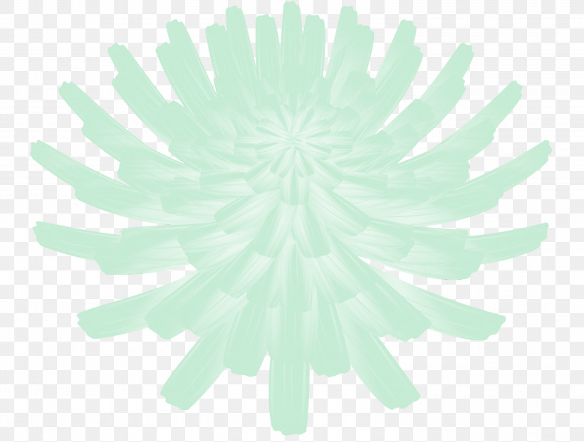 Flower Cut Flowers Chelone Petal Cartoon, PNG, 3000x2274px, Dandelion Flower, Cartoon, Chelone, Cut Flowers, Flower Download Free