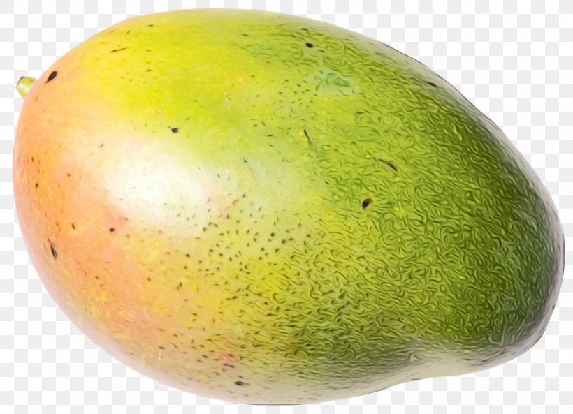 Mango Cartoon, PNG, 1322x957px, Food, Citrus, Fruit, Grapefruit, Local Food Download Free