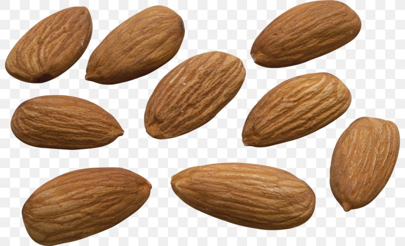 Nut Almond Milk Almond Biscuit, PNG, 800x498px, Nut, Almond, Almond Biscuit, Almond Milk, Apricot Kernel Download Free