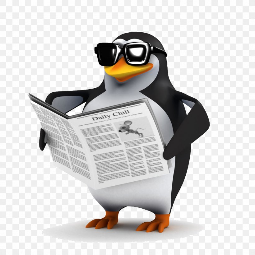 Penguin Bird Shutterstock Stock Photography, PNG, 1000x1000px, Penguin, Beak, Bird, Book, Drawing Download Free